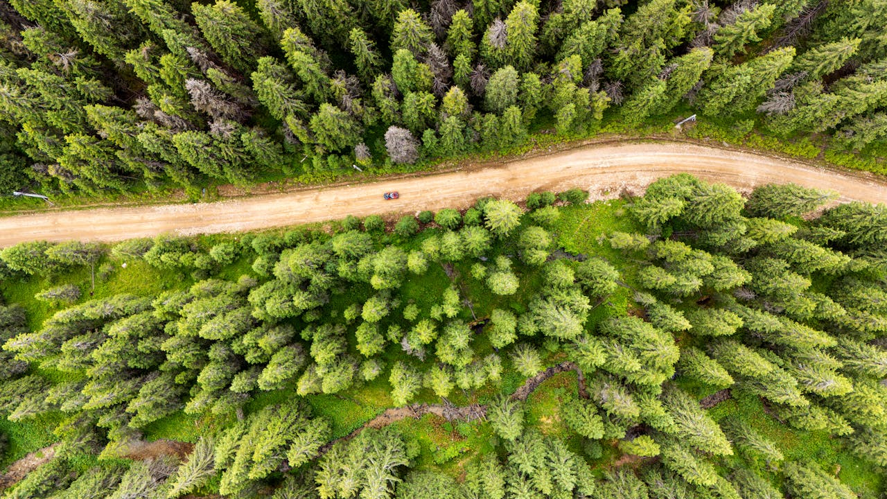 Drone shot of a winding dirt road through lush green forest.