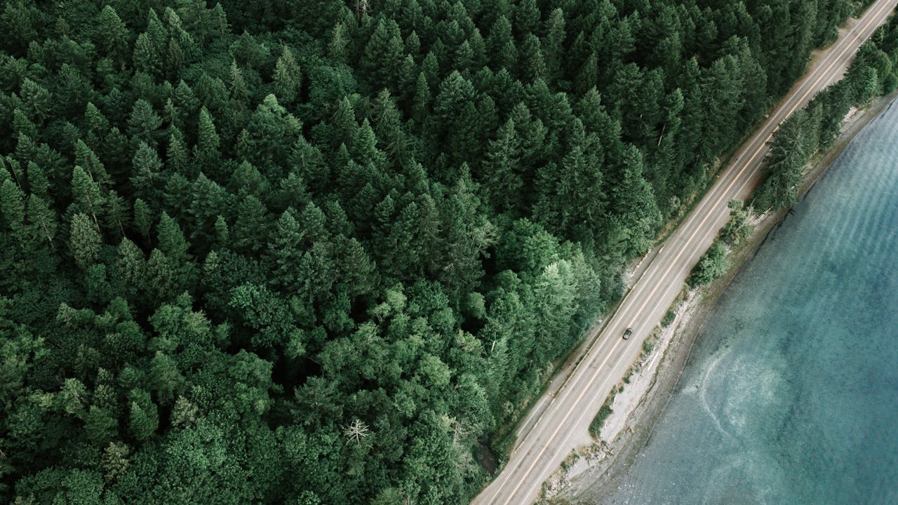 Drone shot of a winding road through lush forest along a scenic coastline.