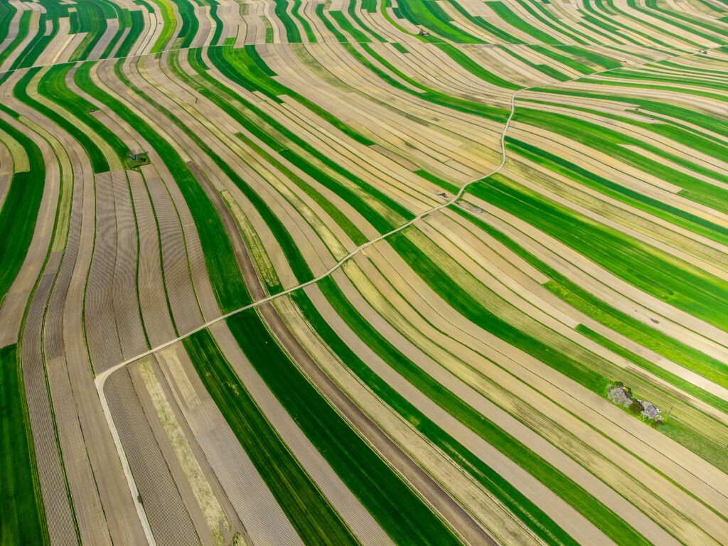 pexels photo 31595062 31595062 A stunning aerial photograph of striped fields in Poland, showcasing vibrant green and yellow patterns.