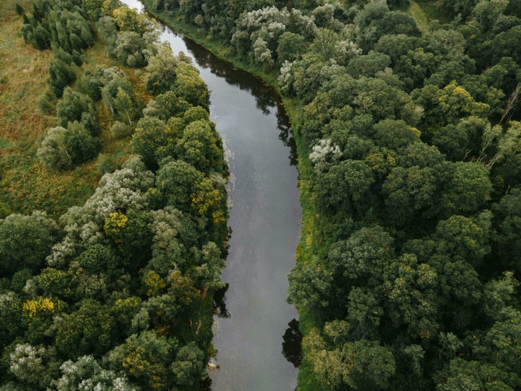 Aerial view of a tranquil river winding through dense green forest, showcasing natural beauty and serenity.